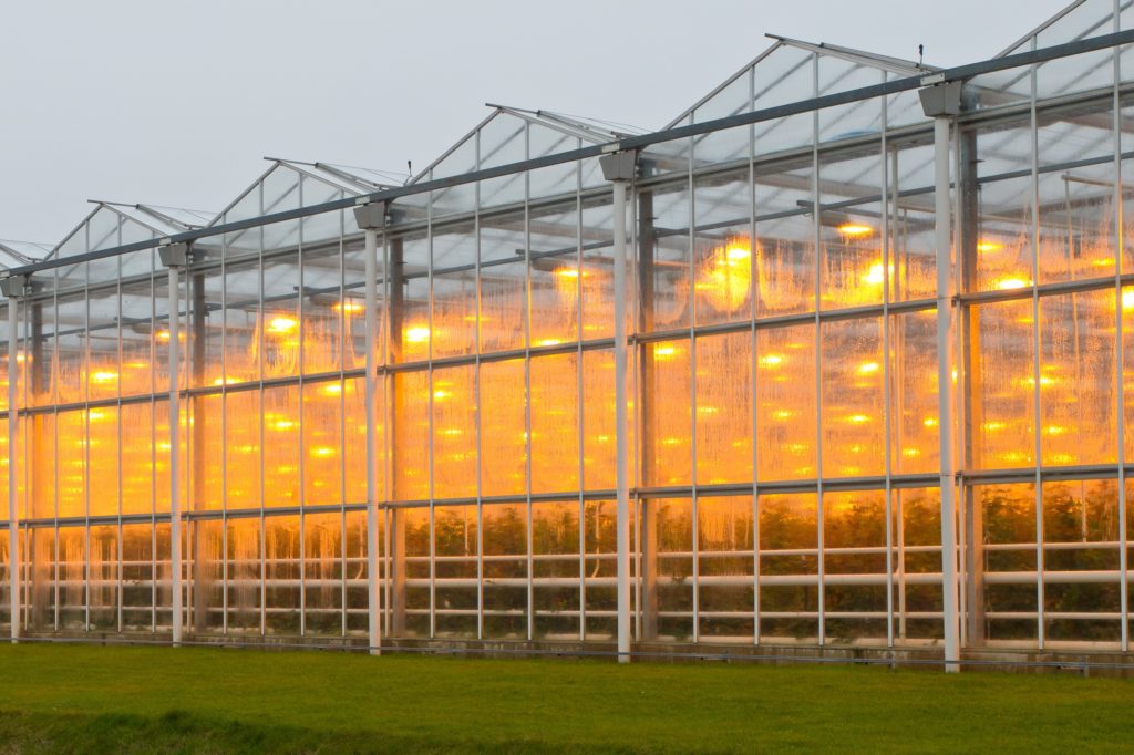 Serre Maison Salle de bain Déshumidificateur d'air électrique