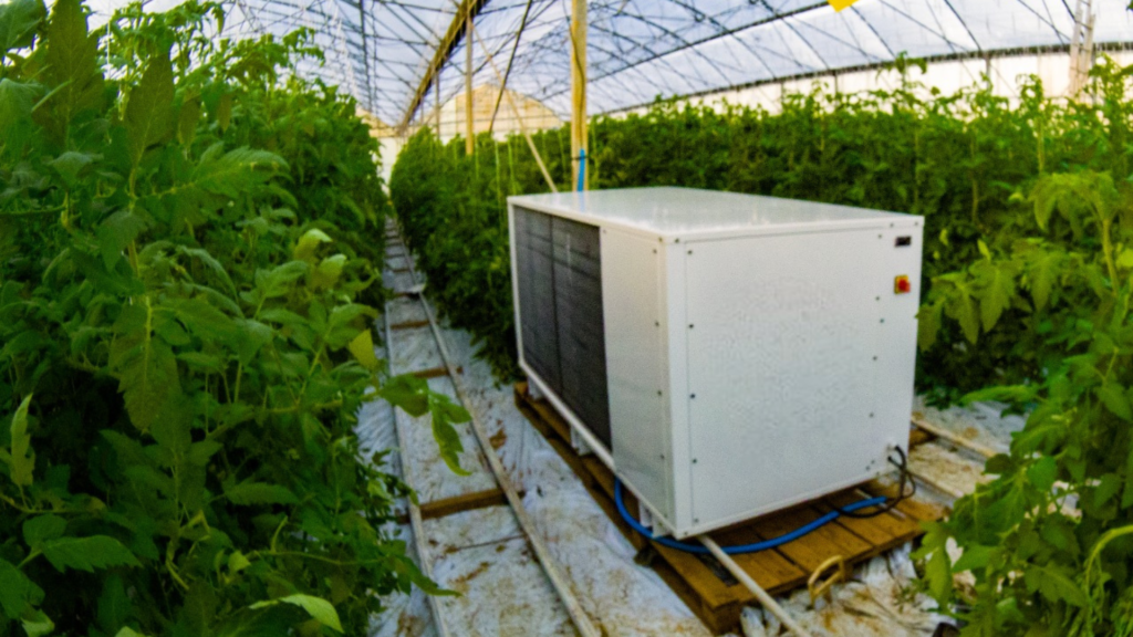 Read more about the article A French tomato grower equipped with an AirGaïa dehumidifier