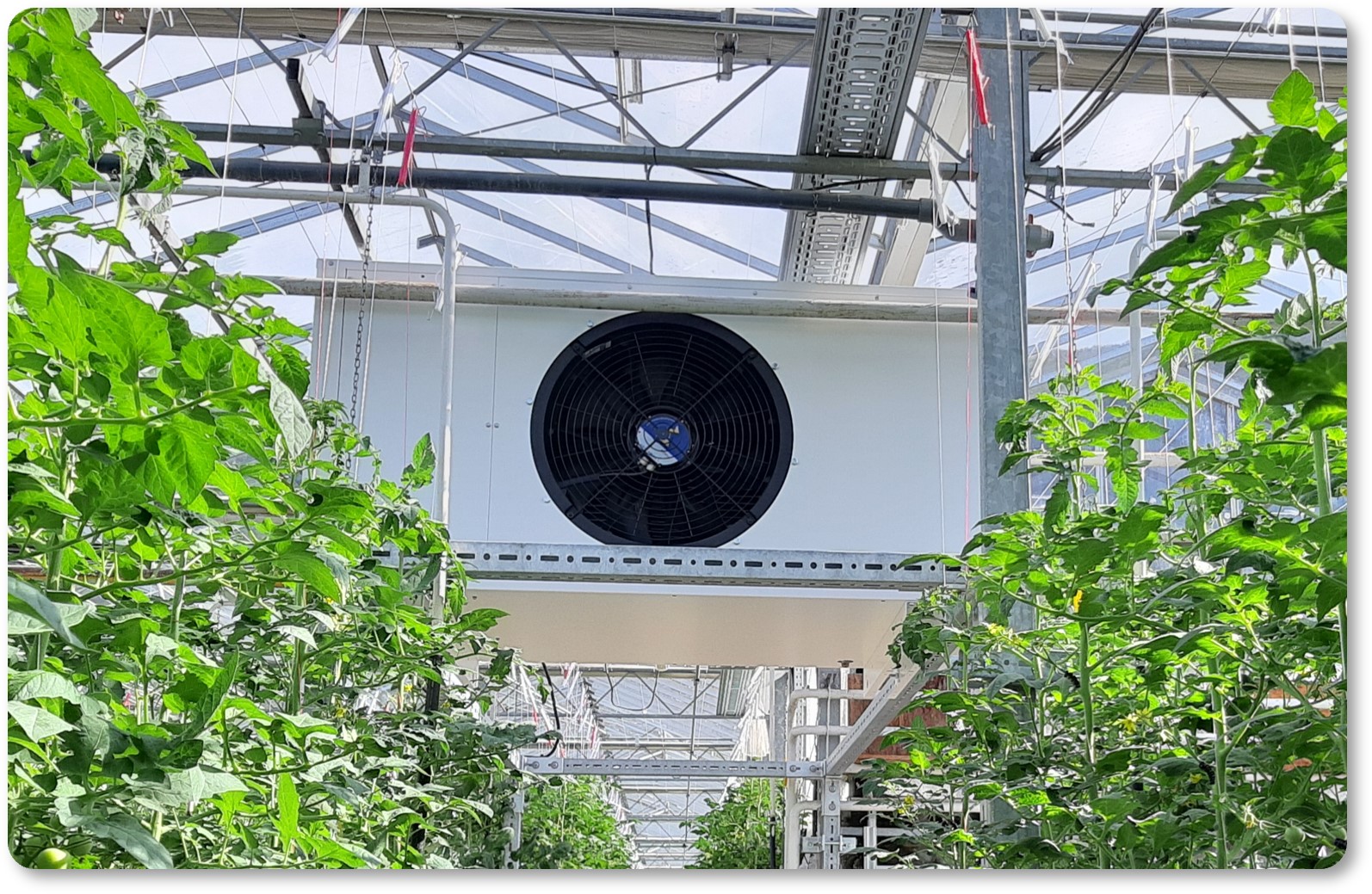 MBair Crest - Airgaia